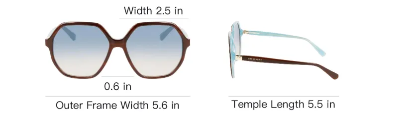 LONGCHAMP Acetate Irregular Shape Sunglasses Women's Brown-3