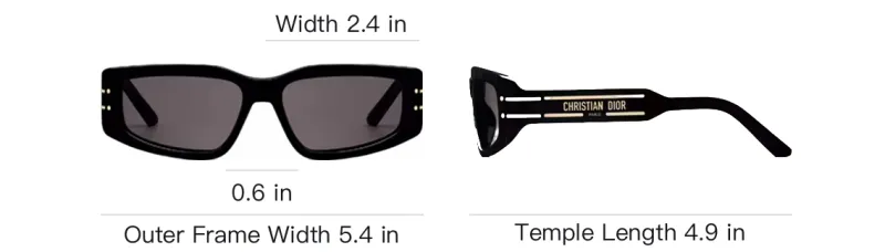 DIOR Irregular Shape Sunglasses Women's Black-4
