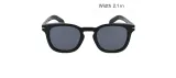 Oliver Peoples Oliver Peoples Ov5004su Buff Sunglasses