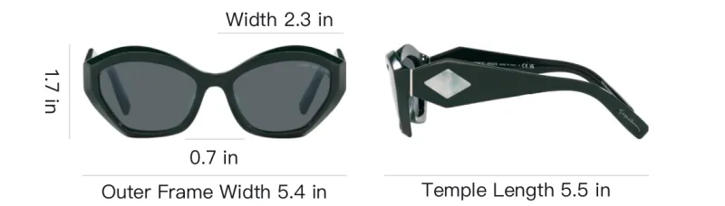 GIORGIO ARMANI Butterfly Frame Sunglasses-6