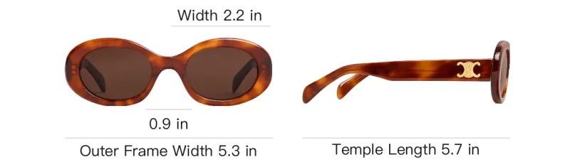 CELINE Oval Frame Sunglasses-3