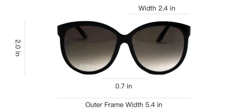 CARTIER Metal Horn Cat Eye Sunglasses Unisex Black-4