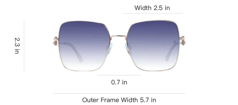 Ana Hickmann Metal Square Sunglasses Women's Gold-3
