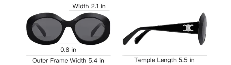 CELINE Triomphe 14 Sunglasses In Acetate-3