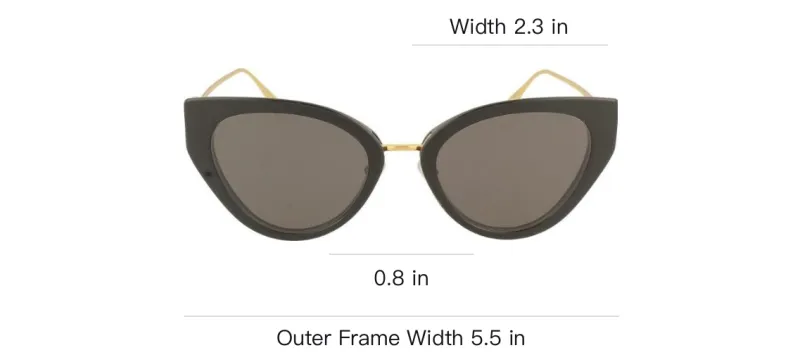 FENDI Plate And Alloy Cat Eye Sunglass Unisex-4