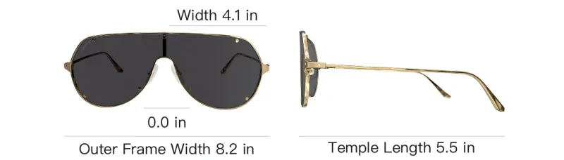 Cartier Shield Frame Sunglasses-3
