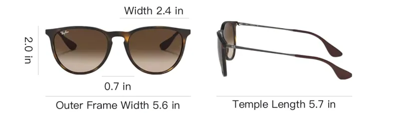 RayBan Round Frame Sunglasses-5