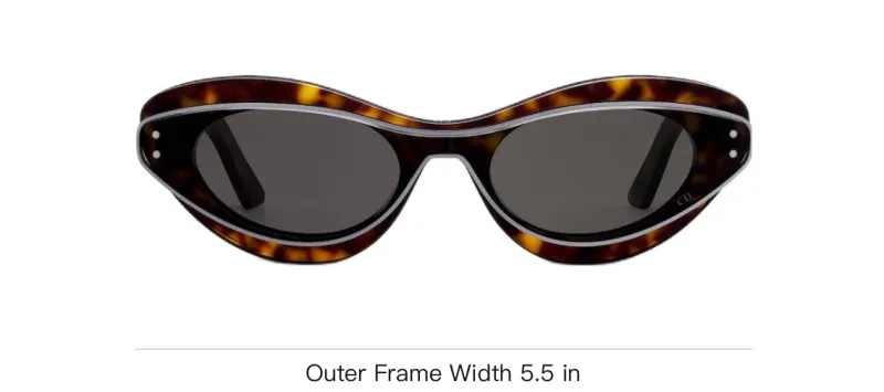 DIOR Cat Eye Frame Sunglasses-3