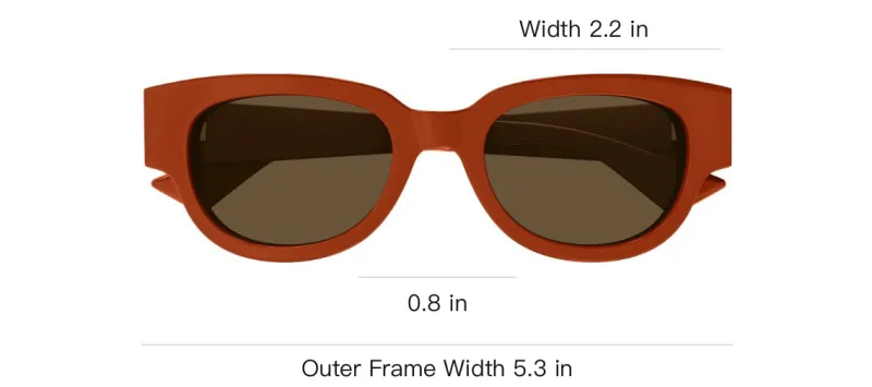 Bottega Veneta Cat Eye Frame Sunglasses-2