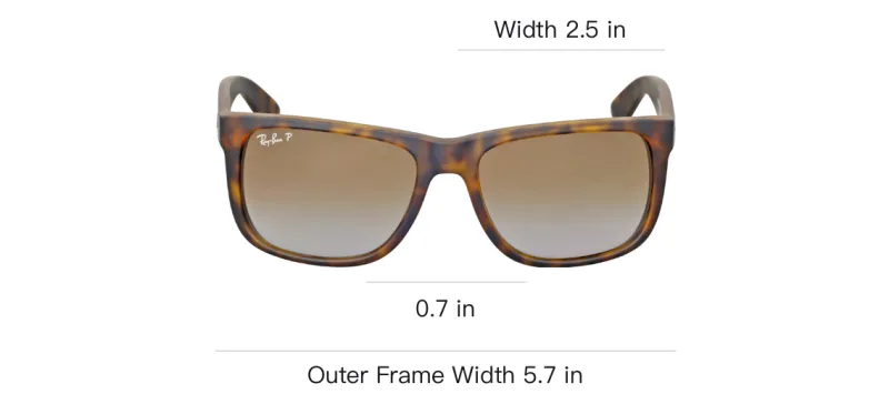 RayBan Wayfarer Square Frame Sunglasses-2