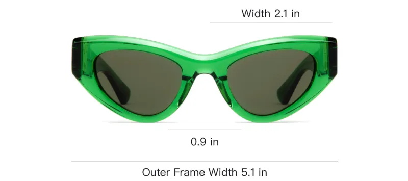 Bottega Veneta Straight Arm Cat Eye Frame Sunglasses-2