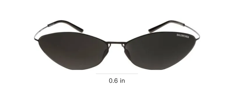 Balenciaga Malibu Round Sunglasses-3