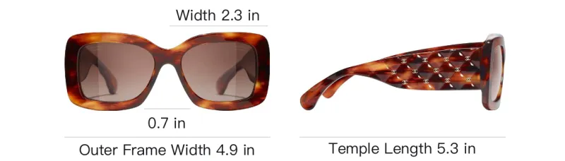 CHANEL Acetate Butterfly Sunglasses Unisex Brown-3