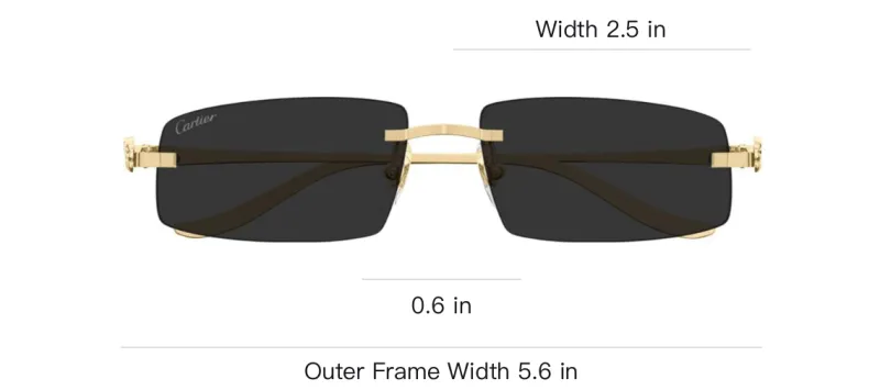 Cartier Panthère Sunglasses-2