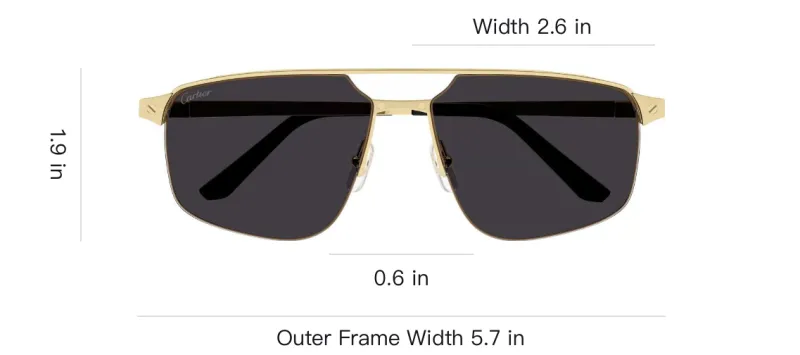 Cartier Aviator Frame Sunglasses-2