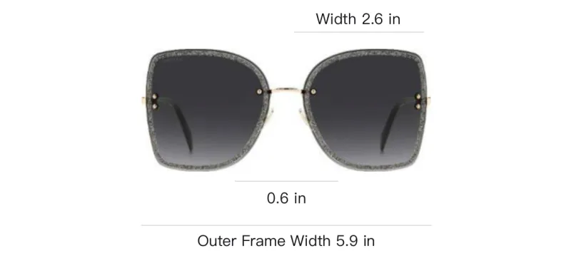 Jimmy Choo Acetate Metal Butterfly Sunglasses Women's Black-3