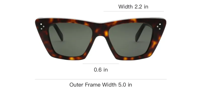 CELINE Cat-Eye Sunglasses-3