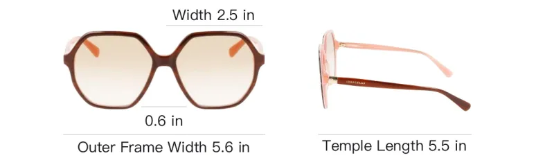 LONGCHAMP Acetate Irregular Shape Sunglasses Women's Brown-3