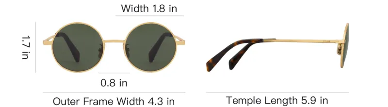 CELINE Metal Frame 26 Sunglasses In Metal-3