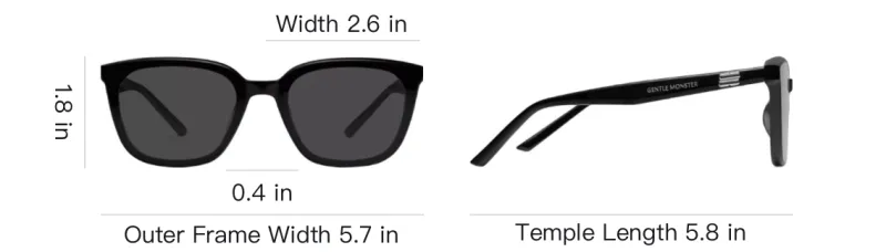 GENTLE MONSTER Pino 01 Sunglasses-3