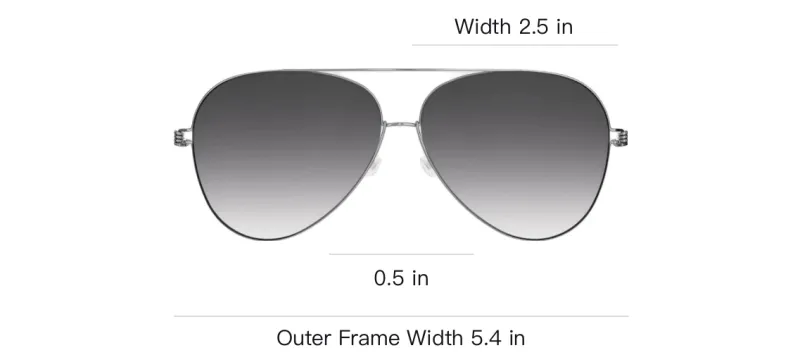 LINDBERG Aviator Sunglasses Unisex Silver-2