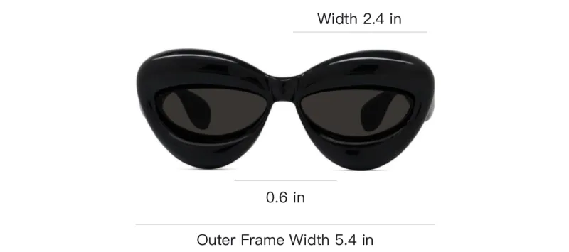 LOEWE Cat Eye Frame Sunglasses-2