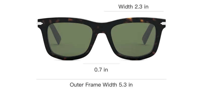DIOR Acetate Irregular Shape Sunglasses Men's Brown-2