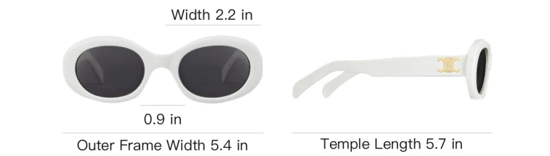 CELINE Triomphe 01 Sunglasses In Acetate White-3