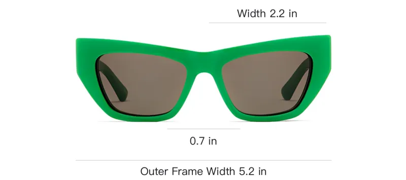 Bottega Veneta Cat Eye Frame Acetate Sunglasses-2