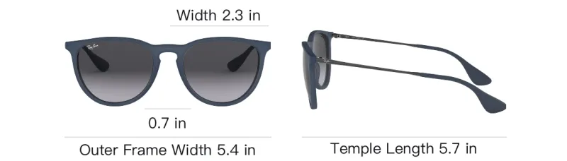 RayBan Erika Sunglasses-5
