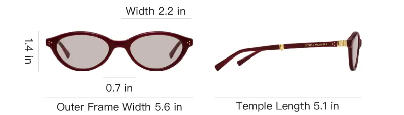 GENTLE MONSTER Plate Frame Oval Sunglasses Unisex Red-4