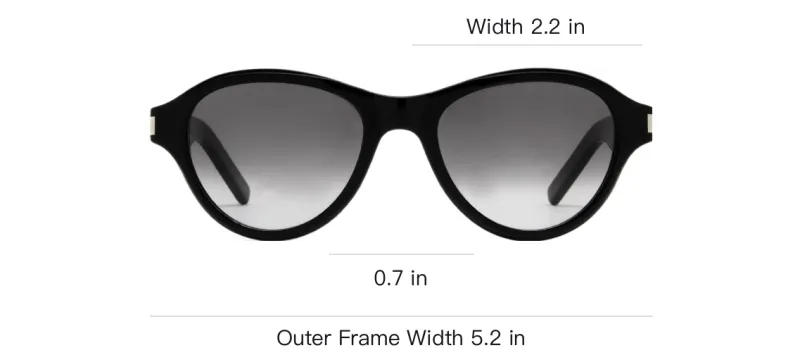 SAINT LAURENT Round Oval Sunglasses-2