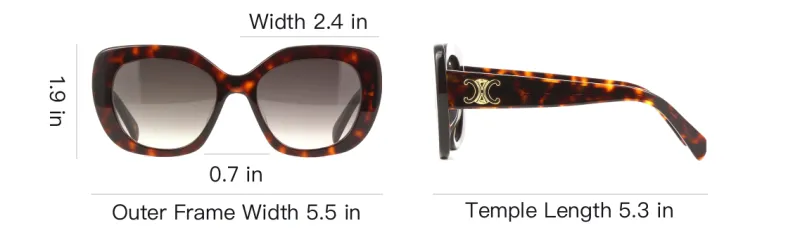 CELINE Acetate Irregular Shape Sunglasses Unisex Red Brown-3