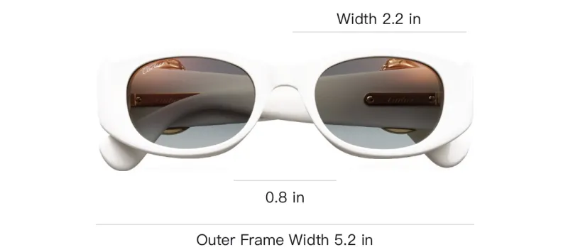 CARTIER Metal Plate Oval Sunglasses Unisex White-3
