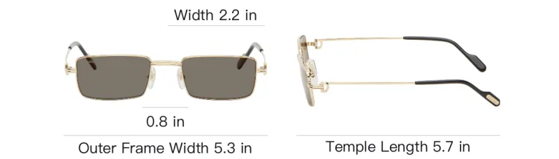 Cartier Rectangle frame Sunglasses-3