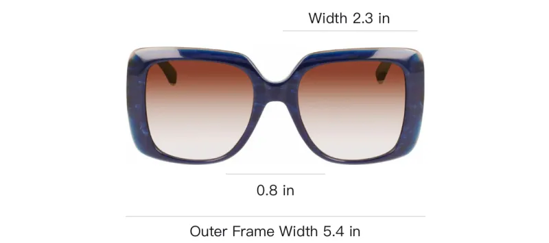 LONGCHAMP Acetate Butterfly Sunglasses Women's Blue-3