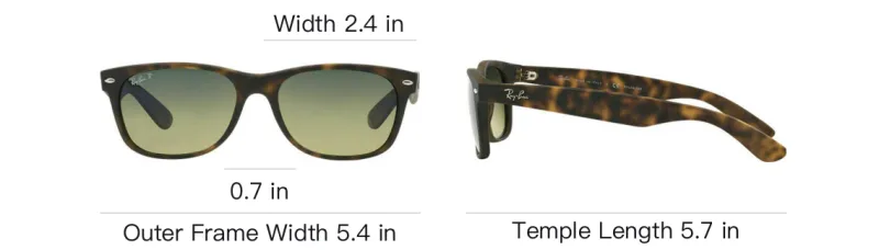 RayBan New Wayfarer Sunglasses-3