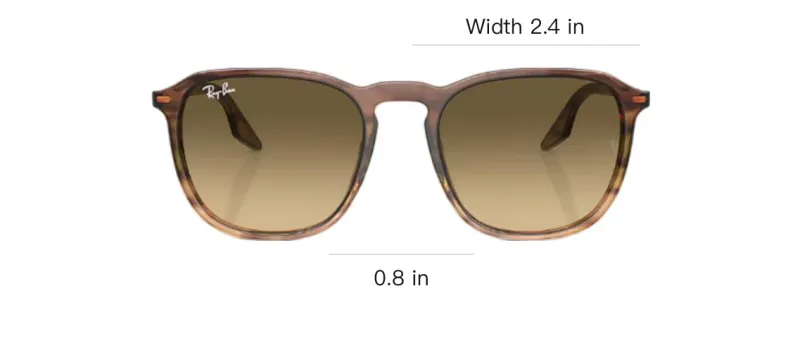 RayBan Erika Round frame Sunglasses-3