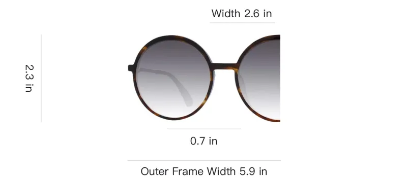 Ana Hickmann Acetate Plastic Round Sunglasses Women's Brown-3