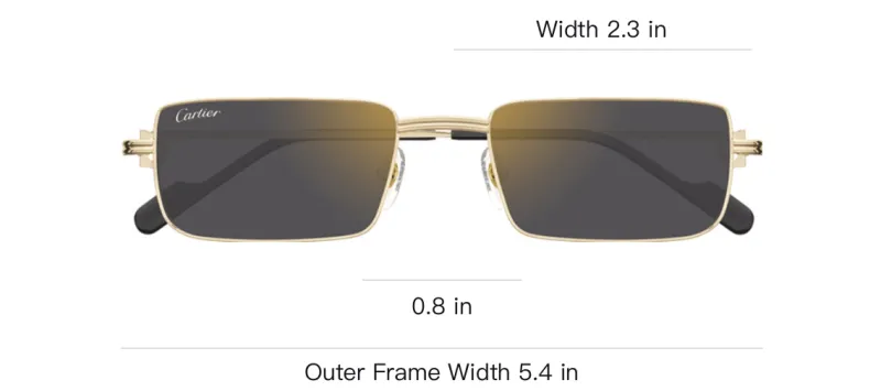 Cartier Rectangular Frame Sunglasses-2