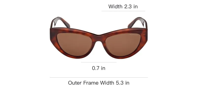 Moncler Modd Cat eye frame Sunglasses-4