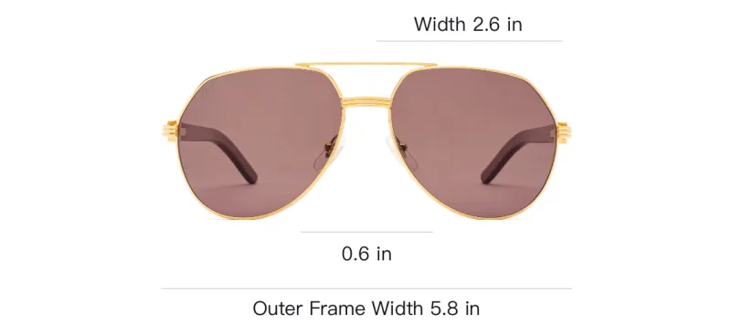 Cartier Aviator Frame Sunglasses-2