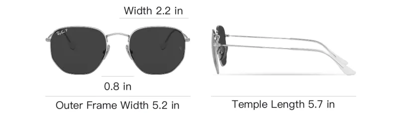 RayBan Hexagonal Frame Sunglasses-3