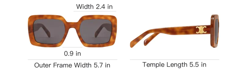 CELINE Triomphe 13 Sunglasses In Acetate-3