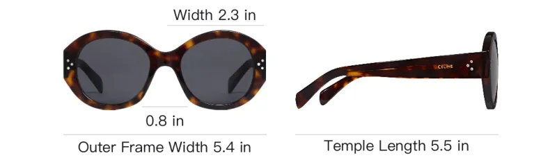 CELINE Cat Eye S193 Sunglasses In Acetate-3
