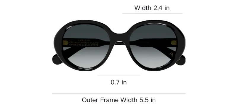 Chloe Acetate Oval Sunglasses Men's Black-3