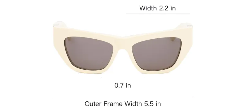 Bottega Veneta Cat-Eye Frame Sunglasses-2