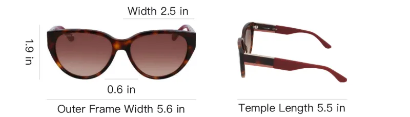 LACOSTE Plastic Oval Sunglasses Women's Brown-4