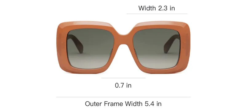 CELINE Acetate Square Sunglasses Women's Brown-3