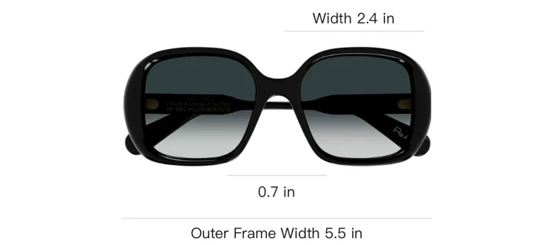 Chloe Irregular Shape Sunglasses Men's Black-2